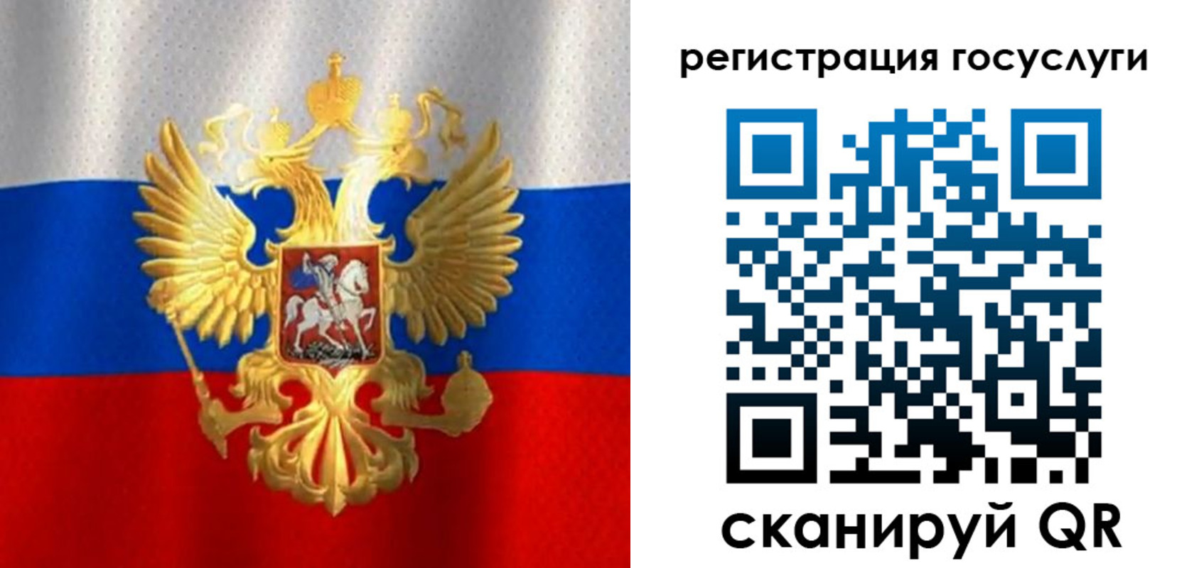 миграционный учет в Волосово